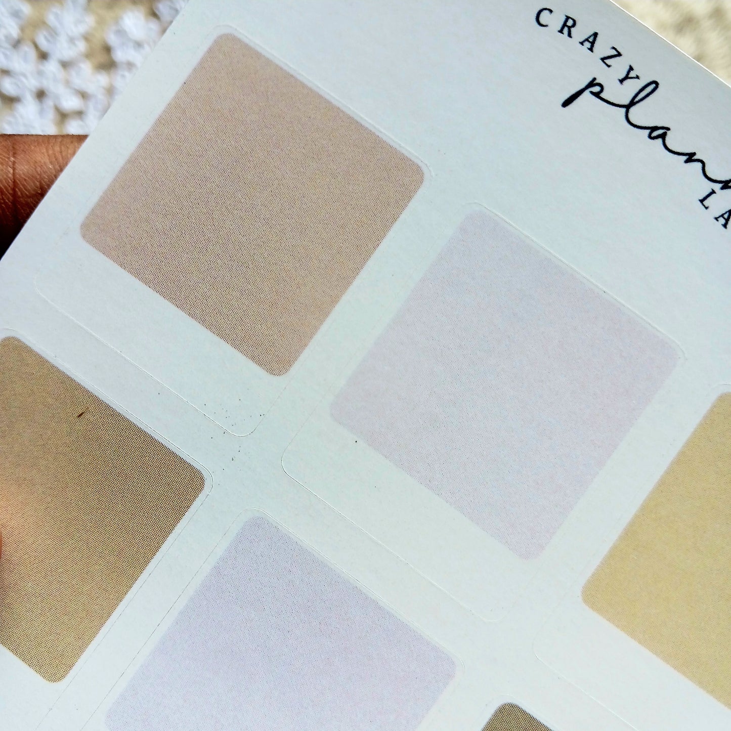 Neutral Color Swatches Sticker Sheet