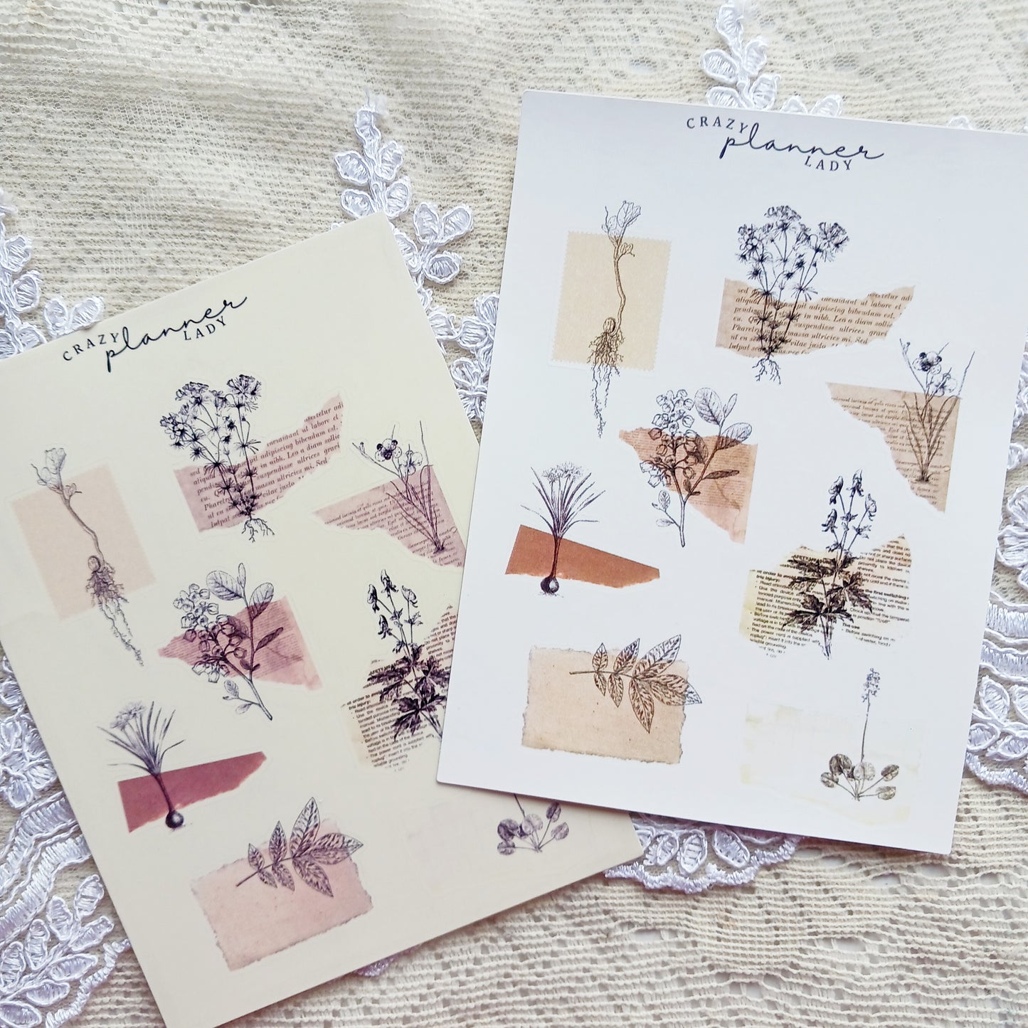 Aesthetic Sticker sheet - Vintage collage plants