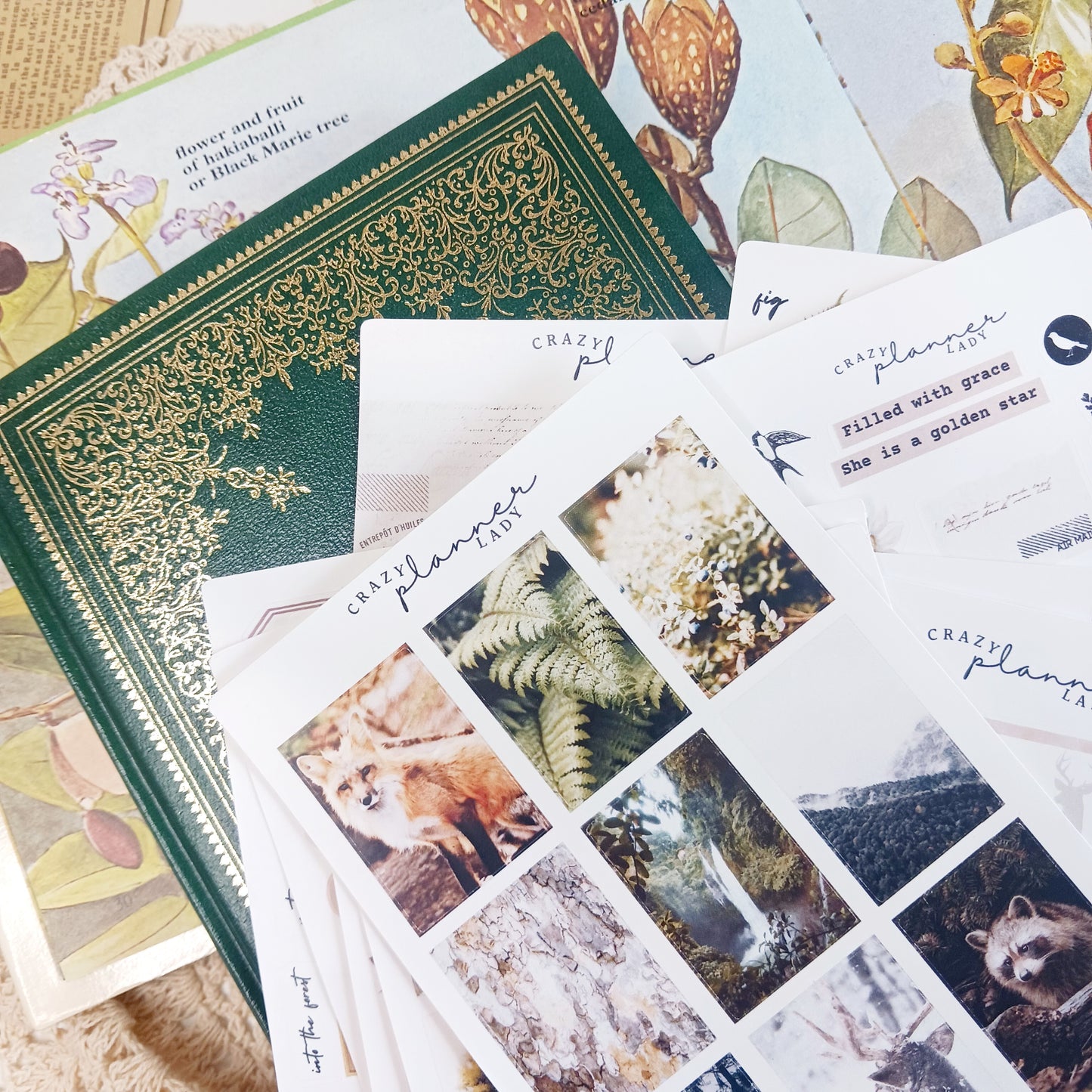 Stickers Set - Vintage Nature ( Set of 10 sheets )