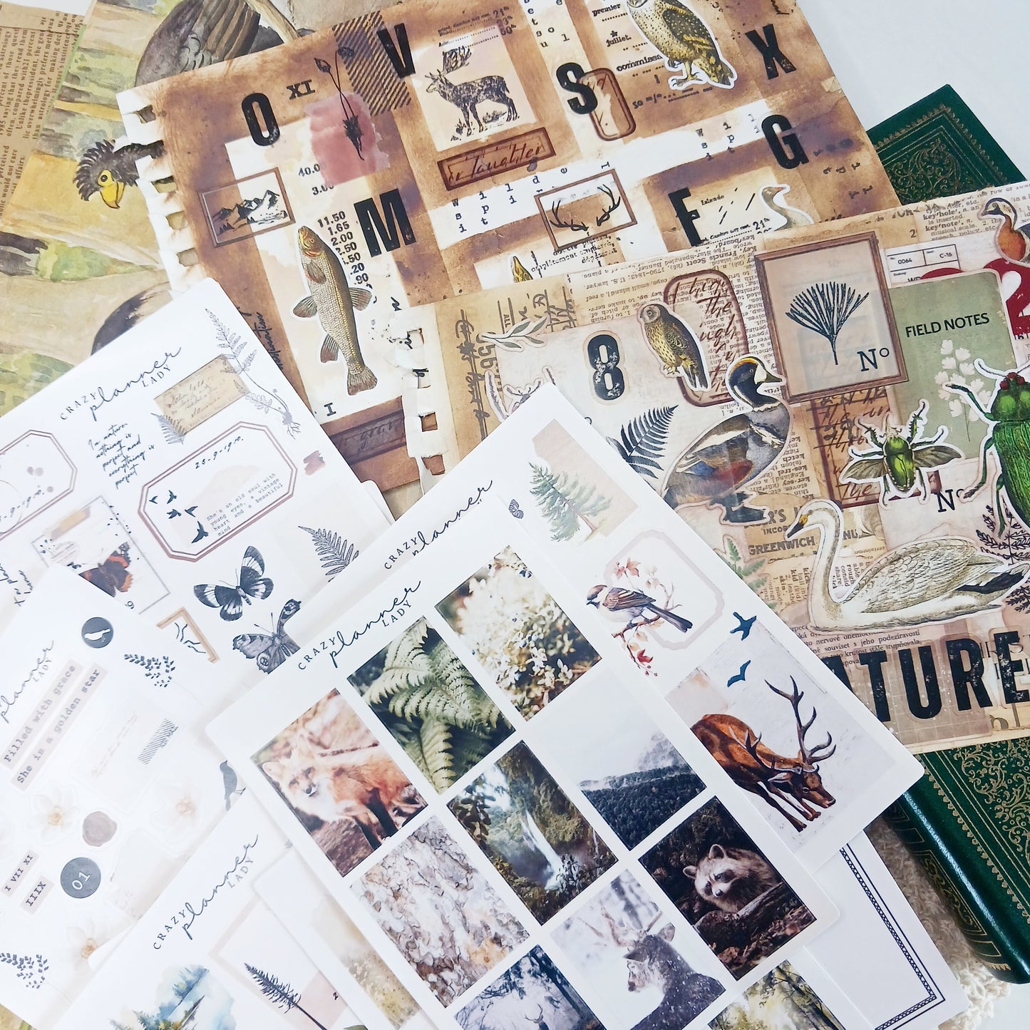 Stickers Set - Vintage Nature ( Set of 10 sheets )