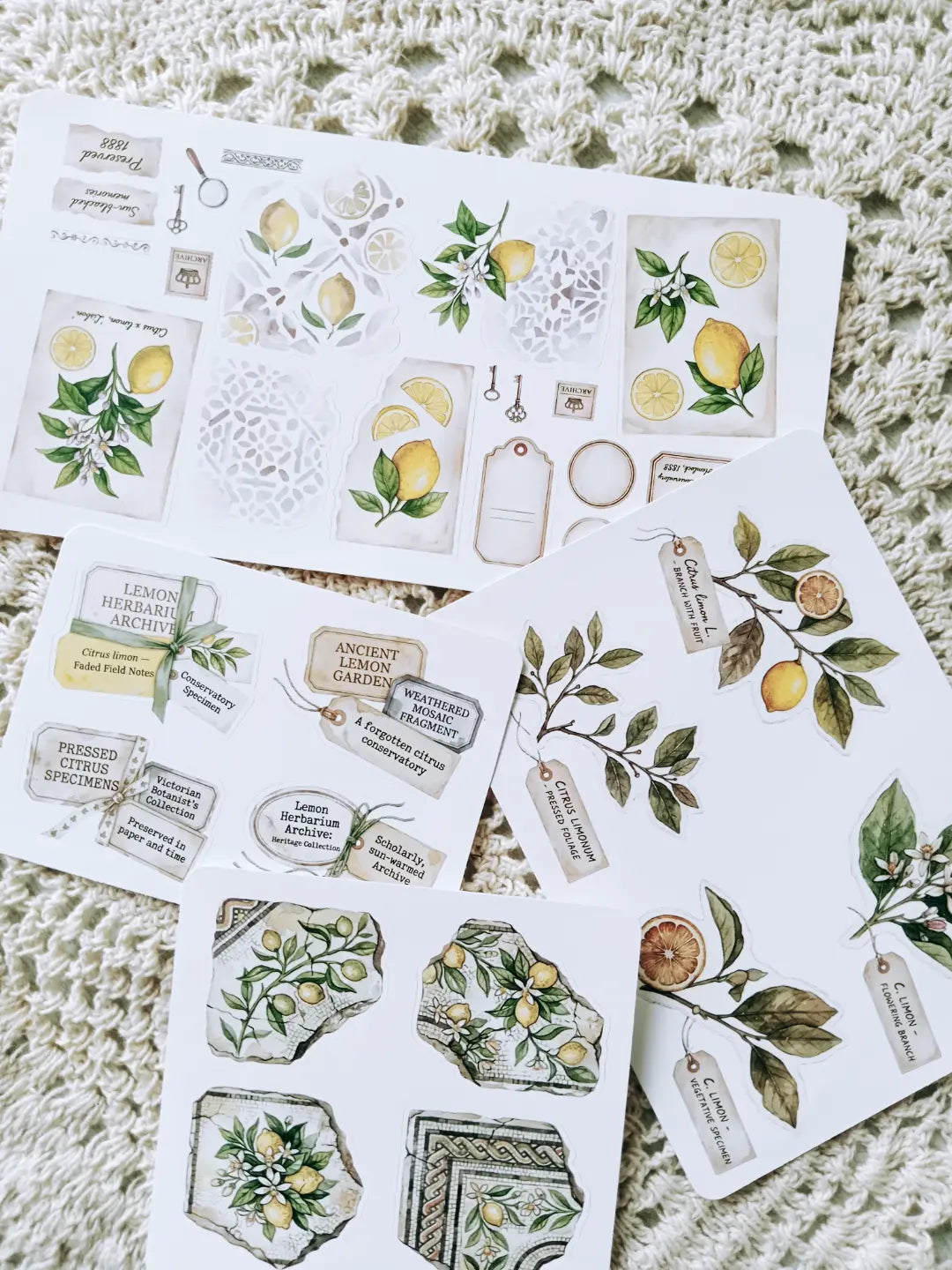 Lemon Herbarium Journaling Kit | Citrus Botanical Collage Papers, Sticker Sheets & Vintage Ephemera