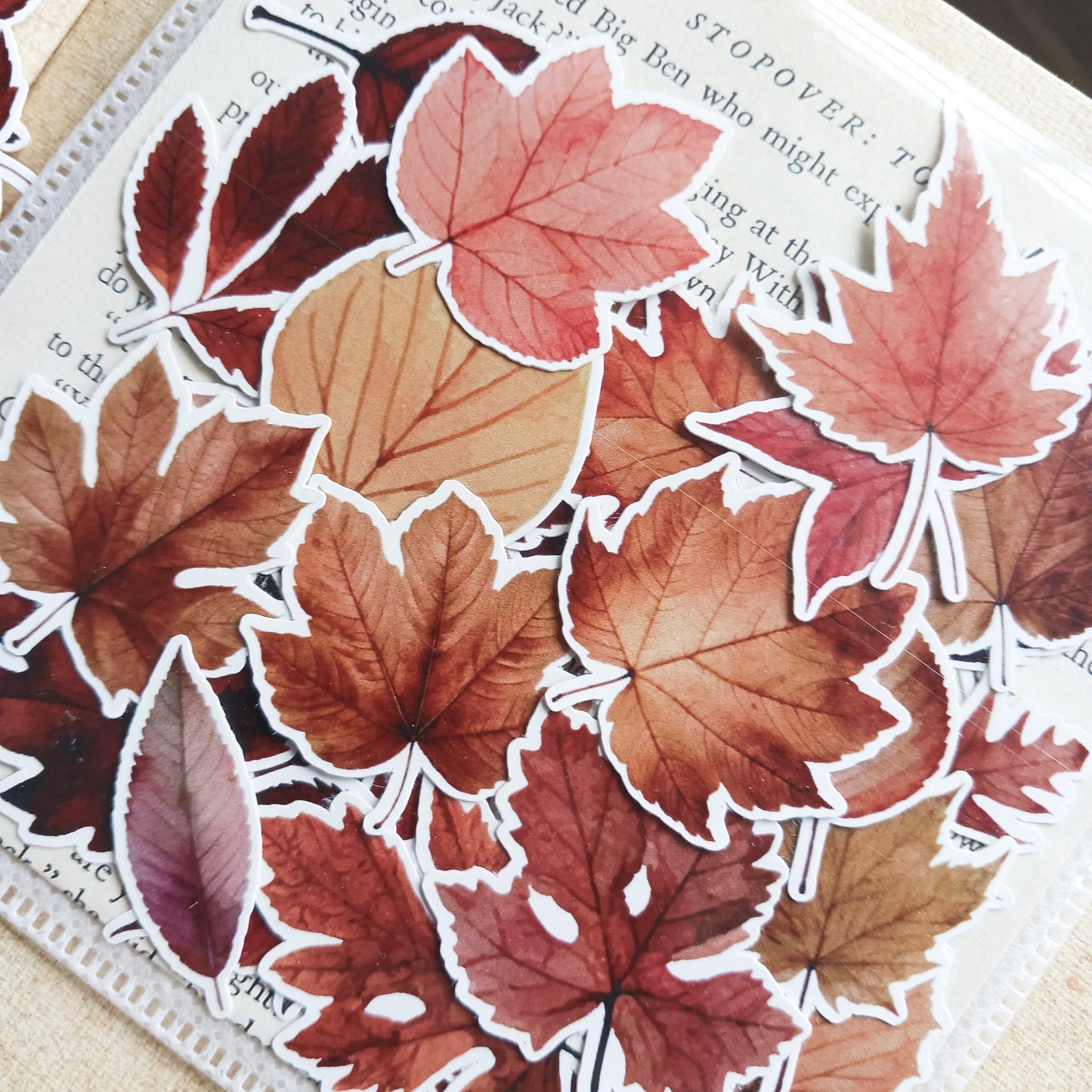 Sticker Pack - Autumn Leaves