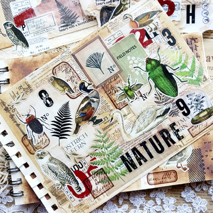 Ferns and Forest Labels pack
