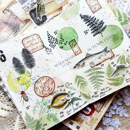 Ferns and Forest Stickers pack - Fern Specimen