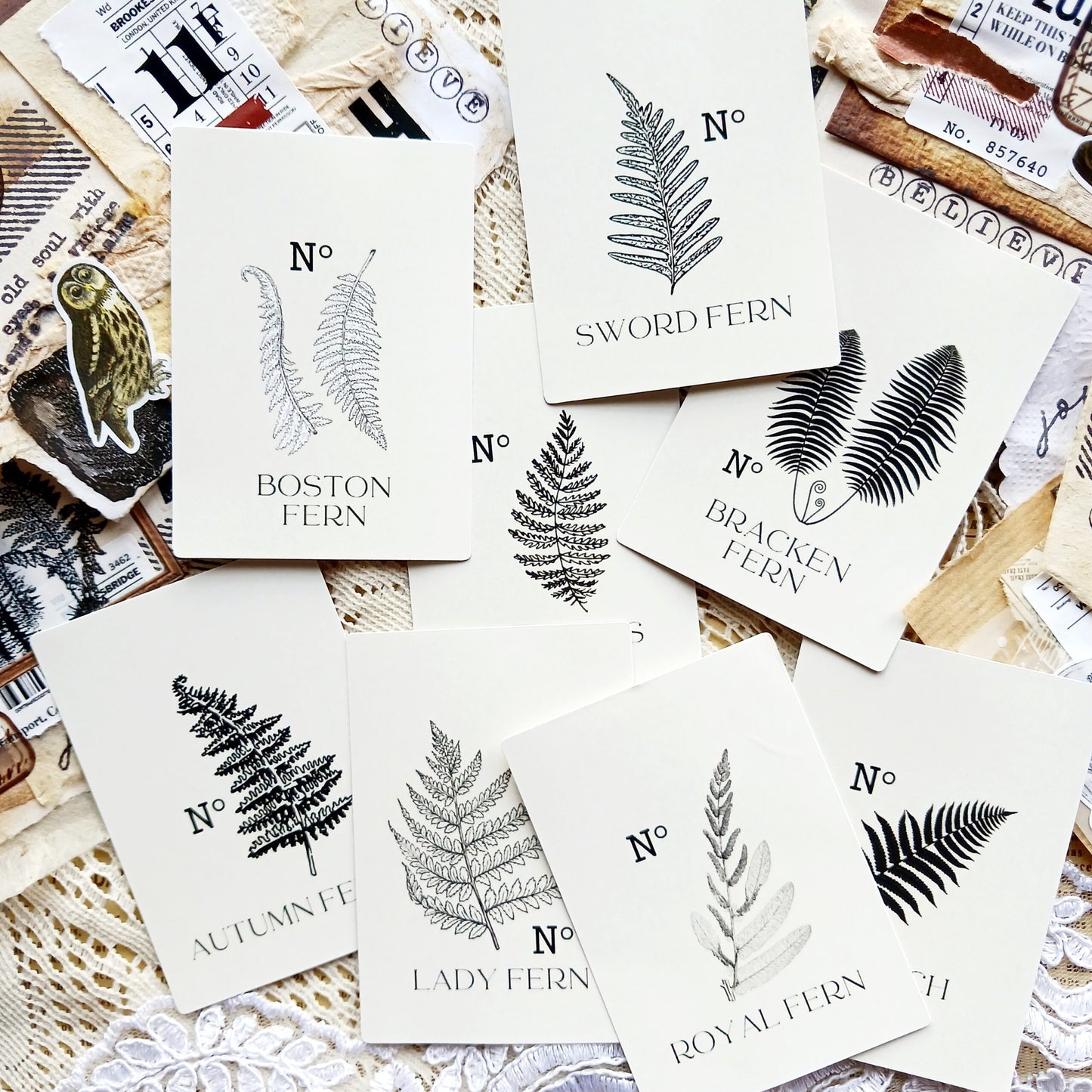 Ferns and Forest Stickers pack - Fern Specimen