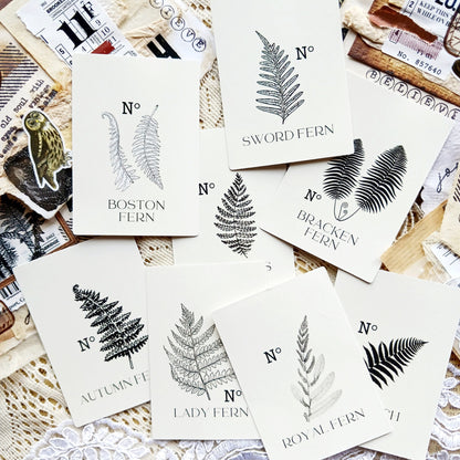 Ferns and Forest Stickers pack - Fern Specimen