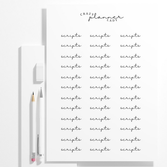 ✨ Functional Planner Stickers 2025 Collection ✨ Scripts