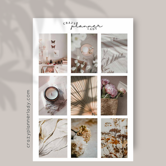Floral Meadow Photo Boxes | A6 Sticker Sheet