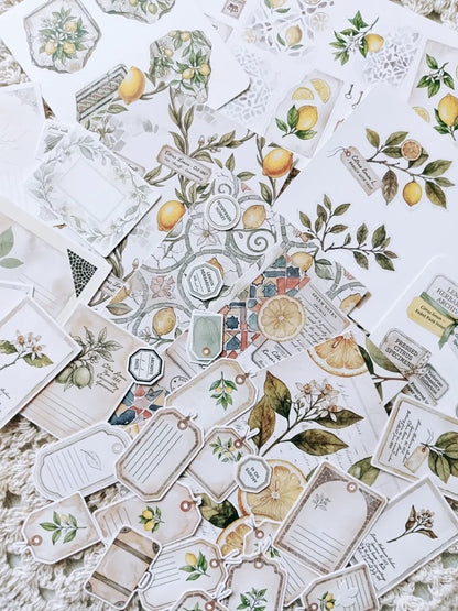 Lemon Herbarium Journaling Kit | Citrus Botanical Collage Papers, Sticker Sheets & Vintage Ephemera