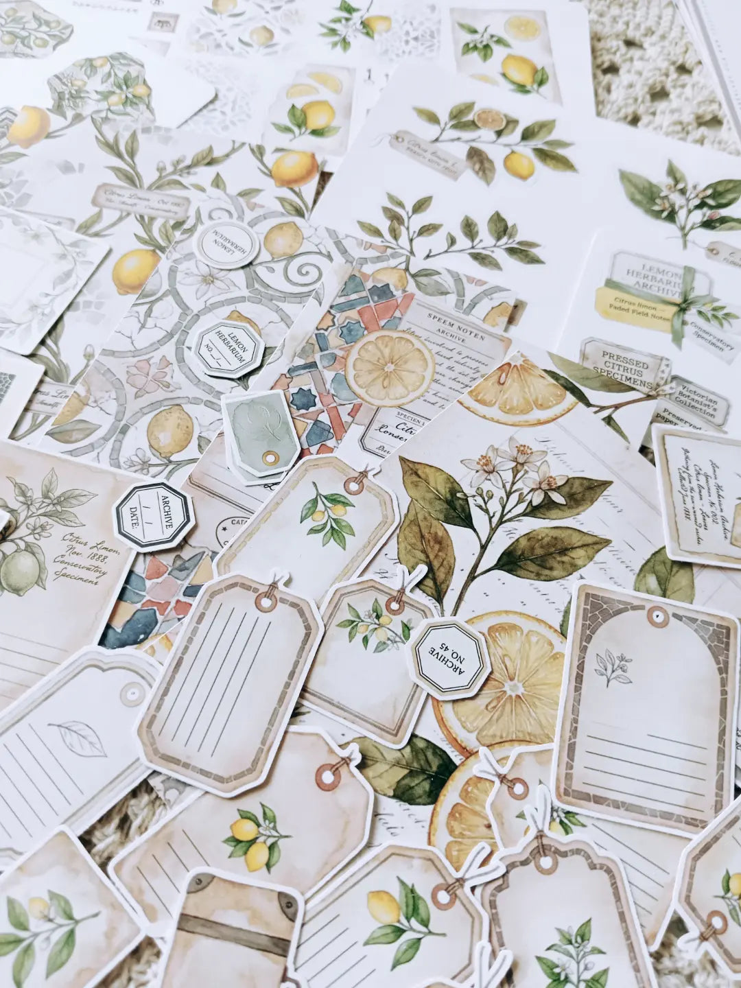 Lemon Herbarium Journaling Kit | Citrus Botanical Collage Papers, Sticker Sheets & Vintage Ephemera