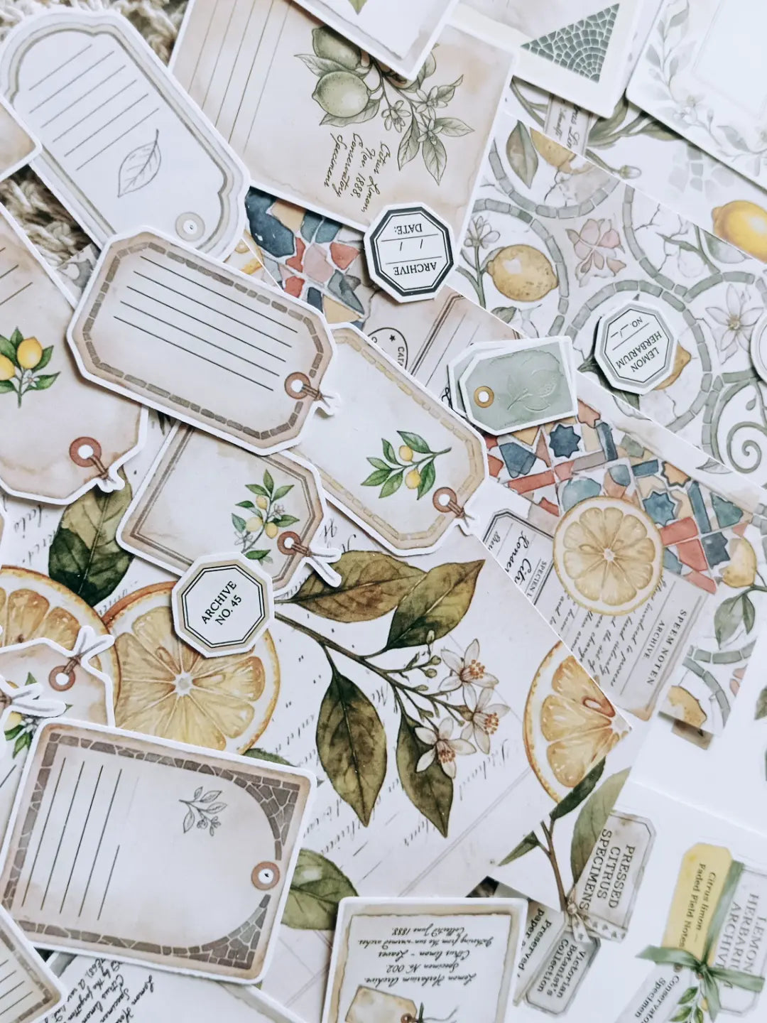 Lemon Herbarium Journaling Kit | Citrus Botanical Collage Papers, Sticker Sheets & Vintage Ephemera