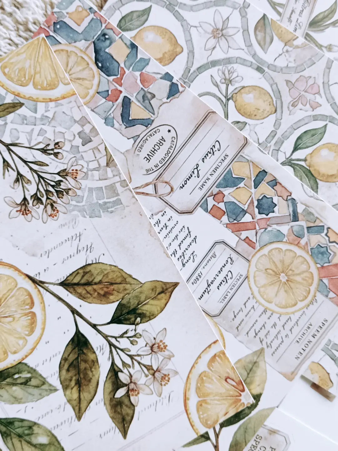 Lemon Herbarium Journaling Kit | Citrus Botanical Collage Papers, Sticker Sheets & Vintage Ephemera