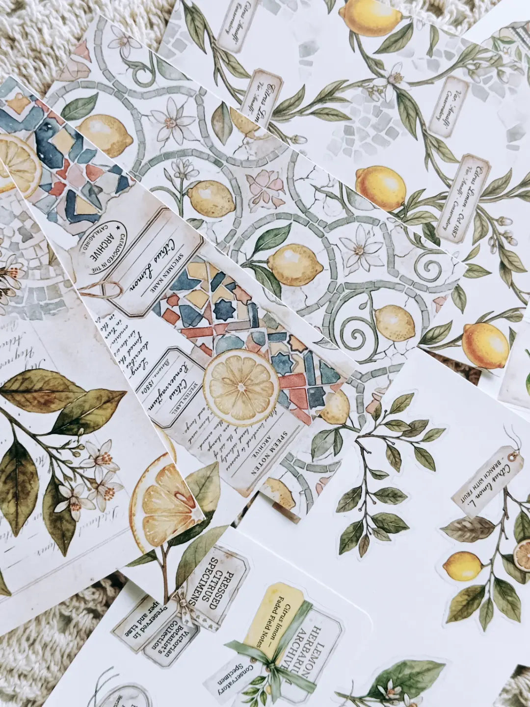 Lemon Herbarium Journaling Kit | Citrus Botanical Collage Papers, Sticker Sheets & Vintage Ephemera