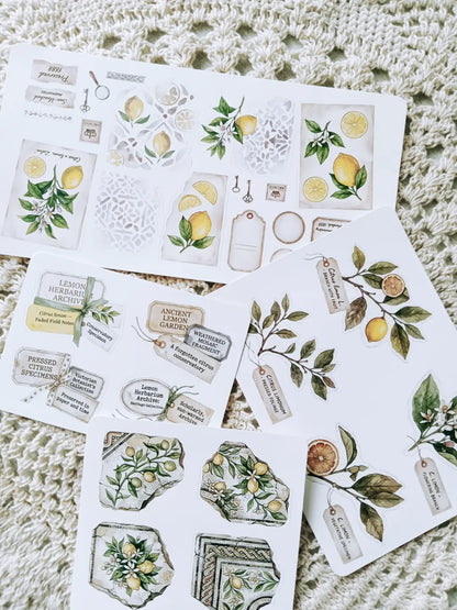 Lemon Herbarium Journaling Kit | Citrus Botanical Collage Papers, Sticker Sheets & Vintage Ephemera