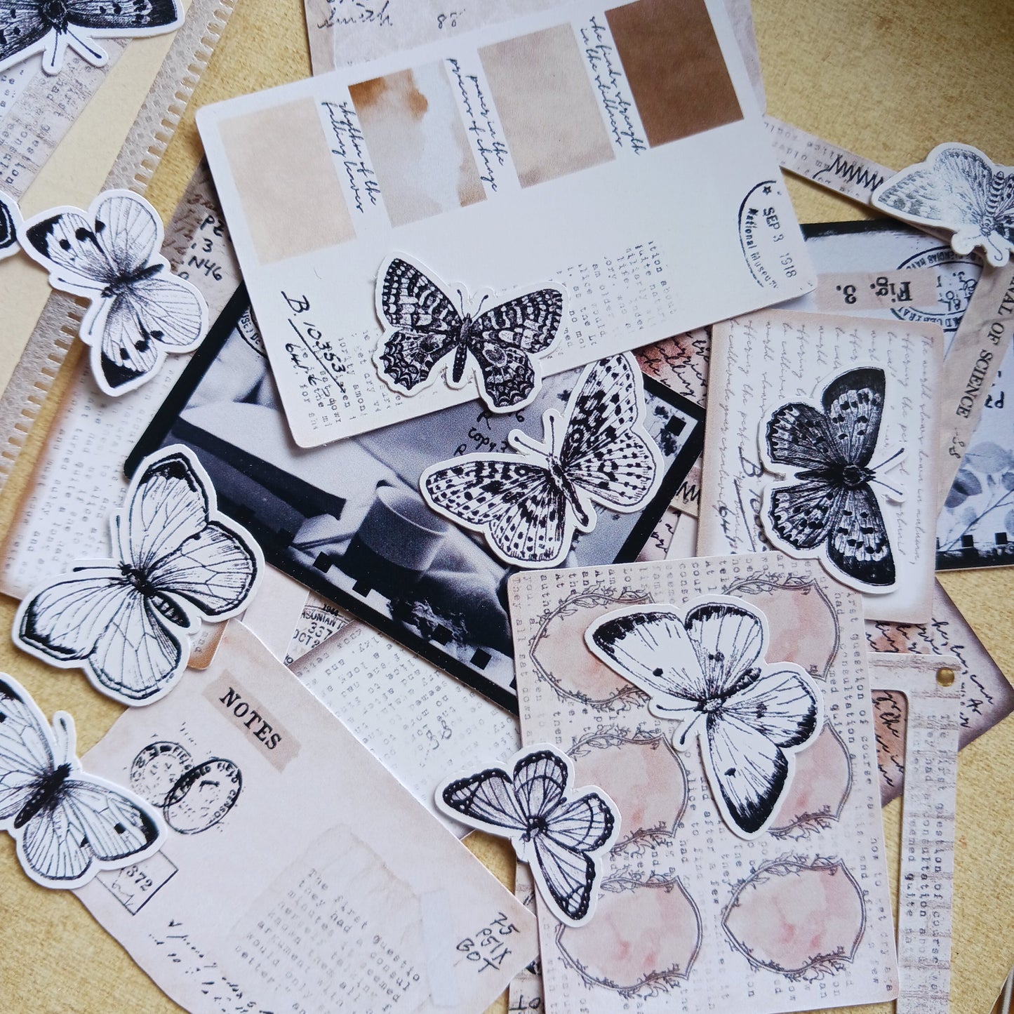 Ephemera Pack - Autumn Bits and Pieces