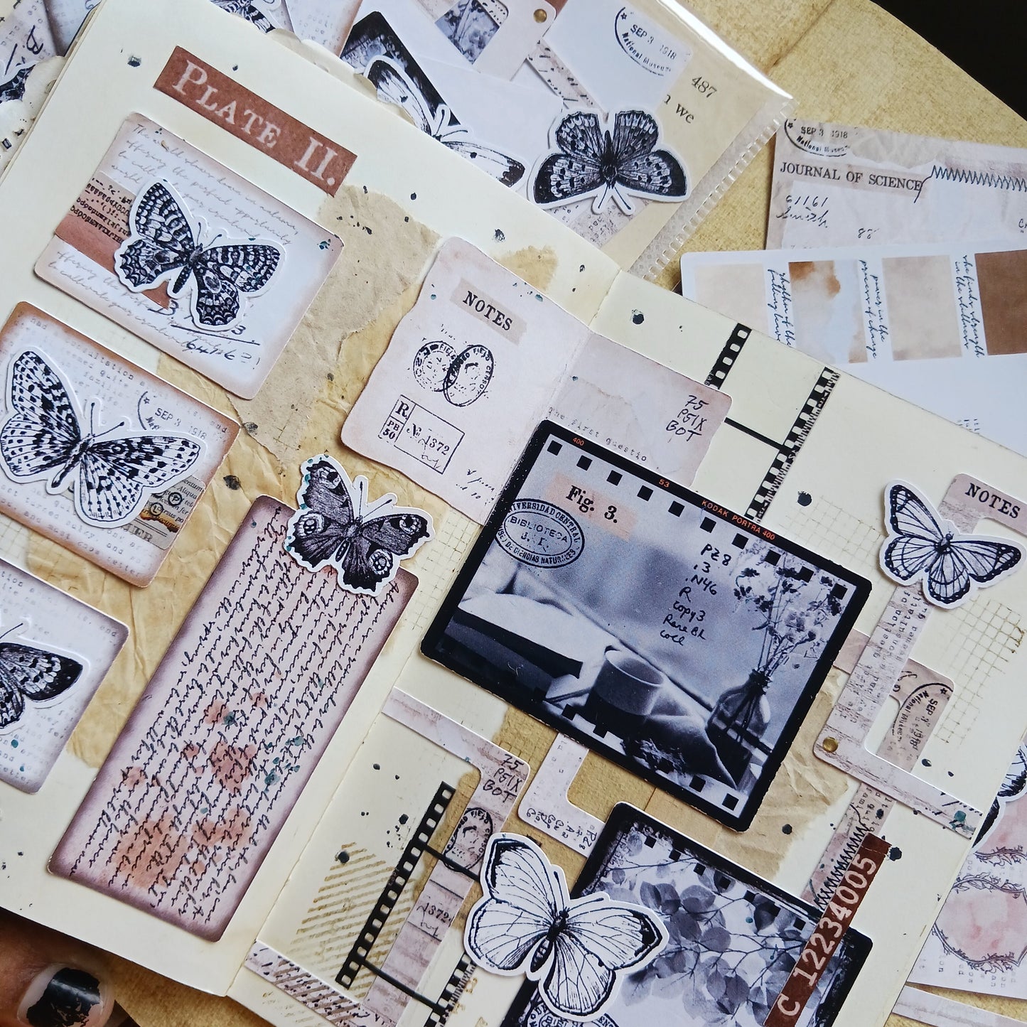 Ephemera Pack - Autumn Bits and Pieces