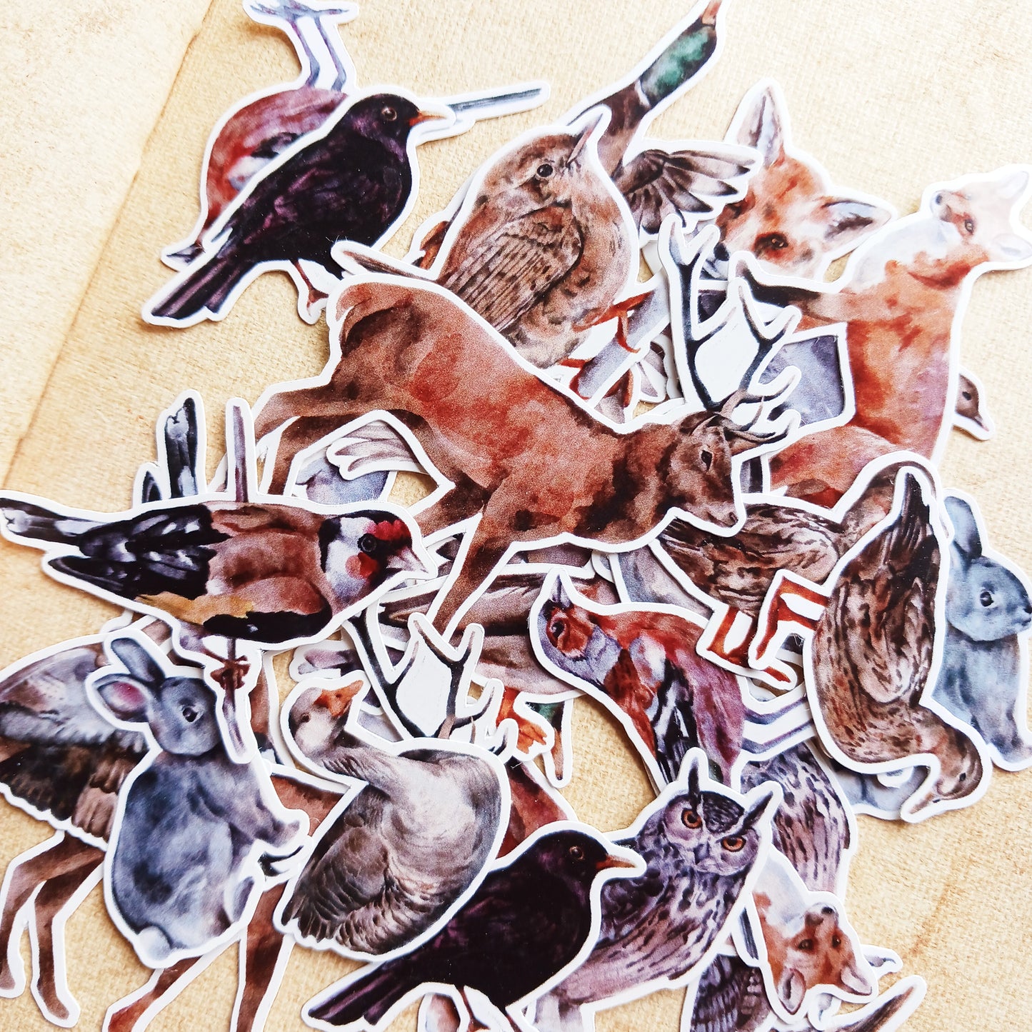 Sticker Pack -  Autumn Animals