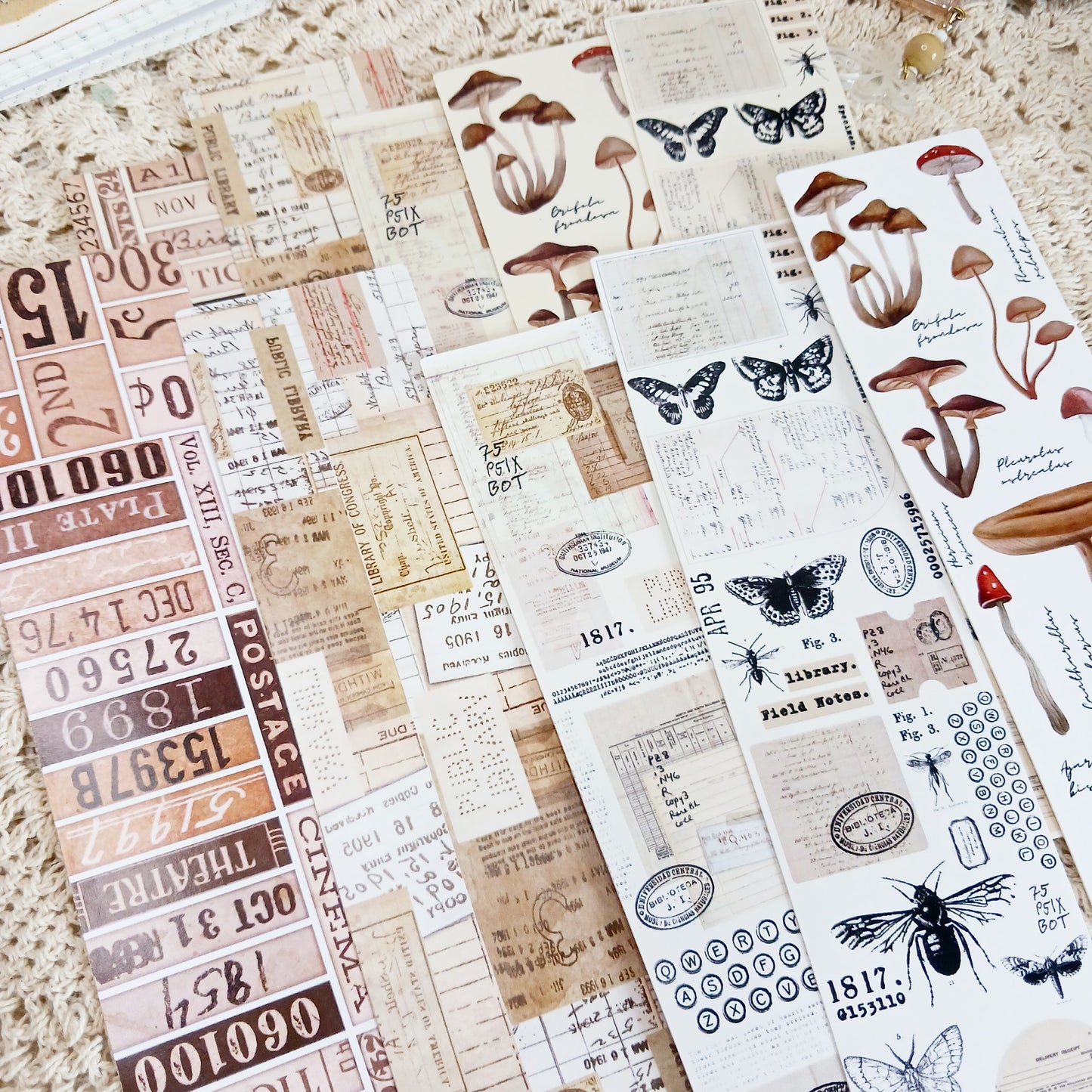 Sticker Pack -  Autumn Long Strips