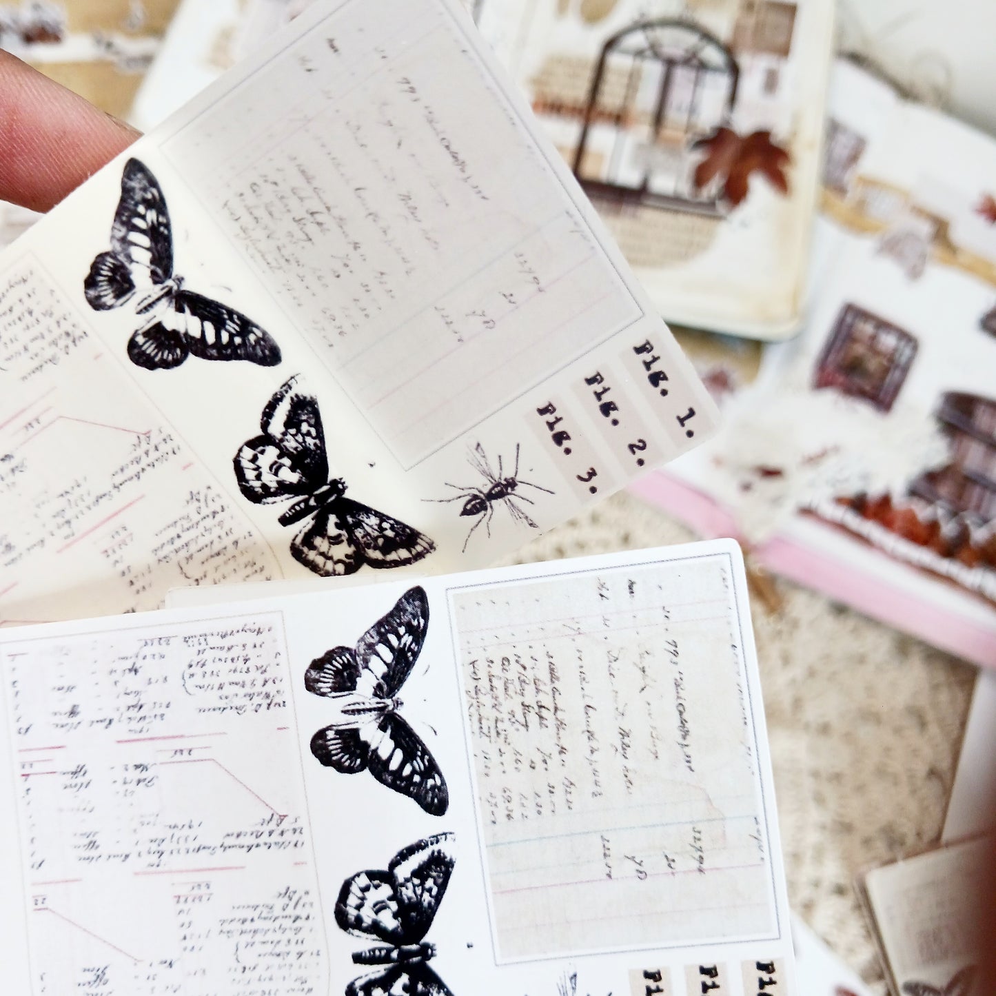 Sticker Pack -  Autumn Long Strips
