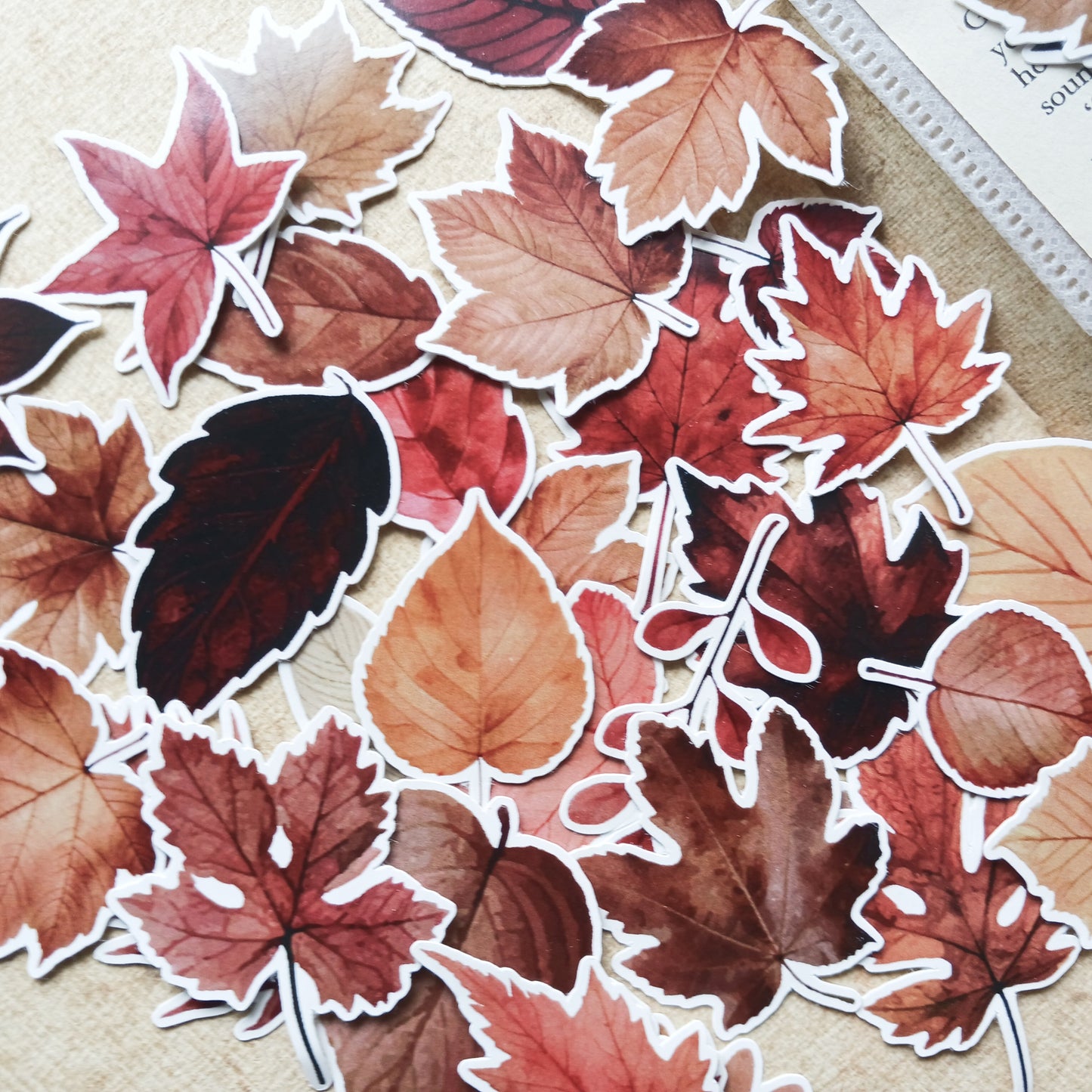Sticker Pack -  Autumn Leaves