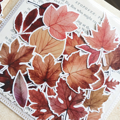 Sticker Pack -  Autumn Leaves