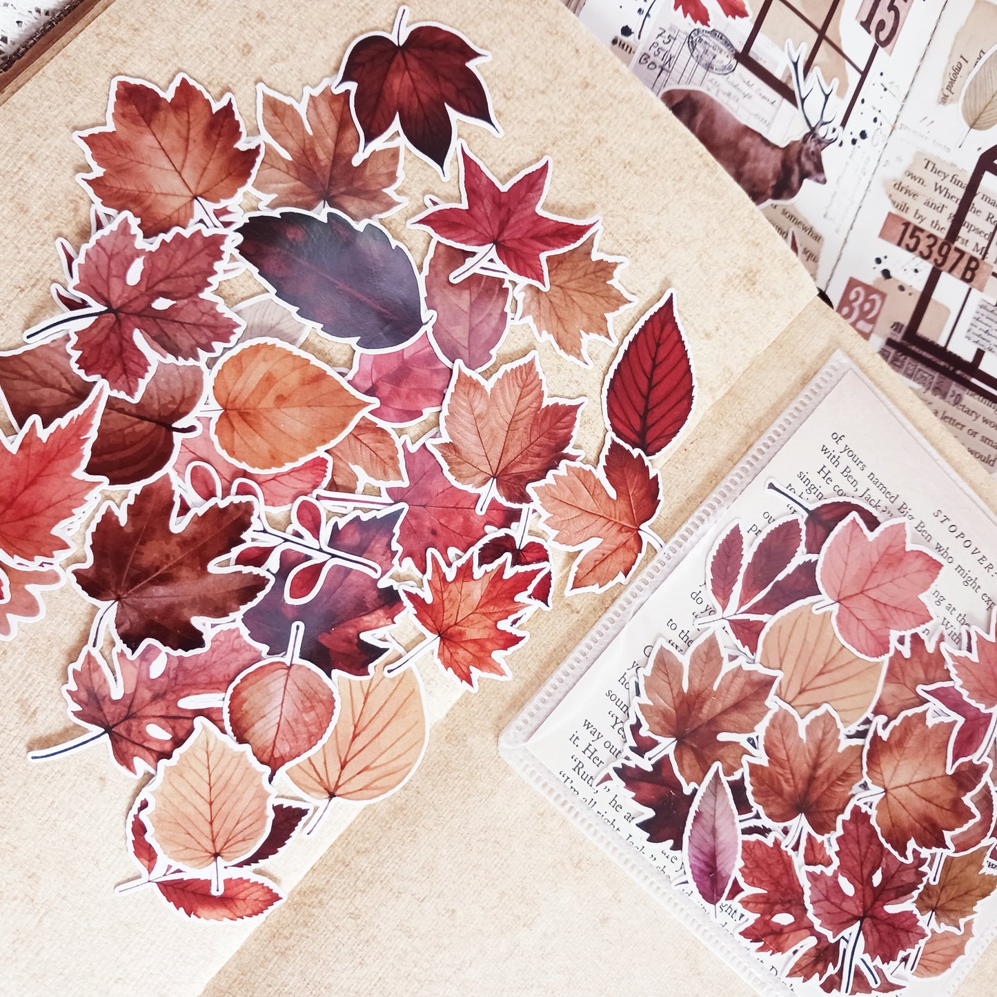 Sticker Pack -  Autumn Leaves