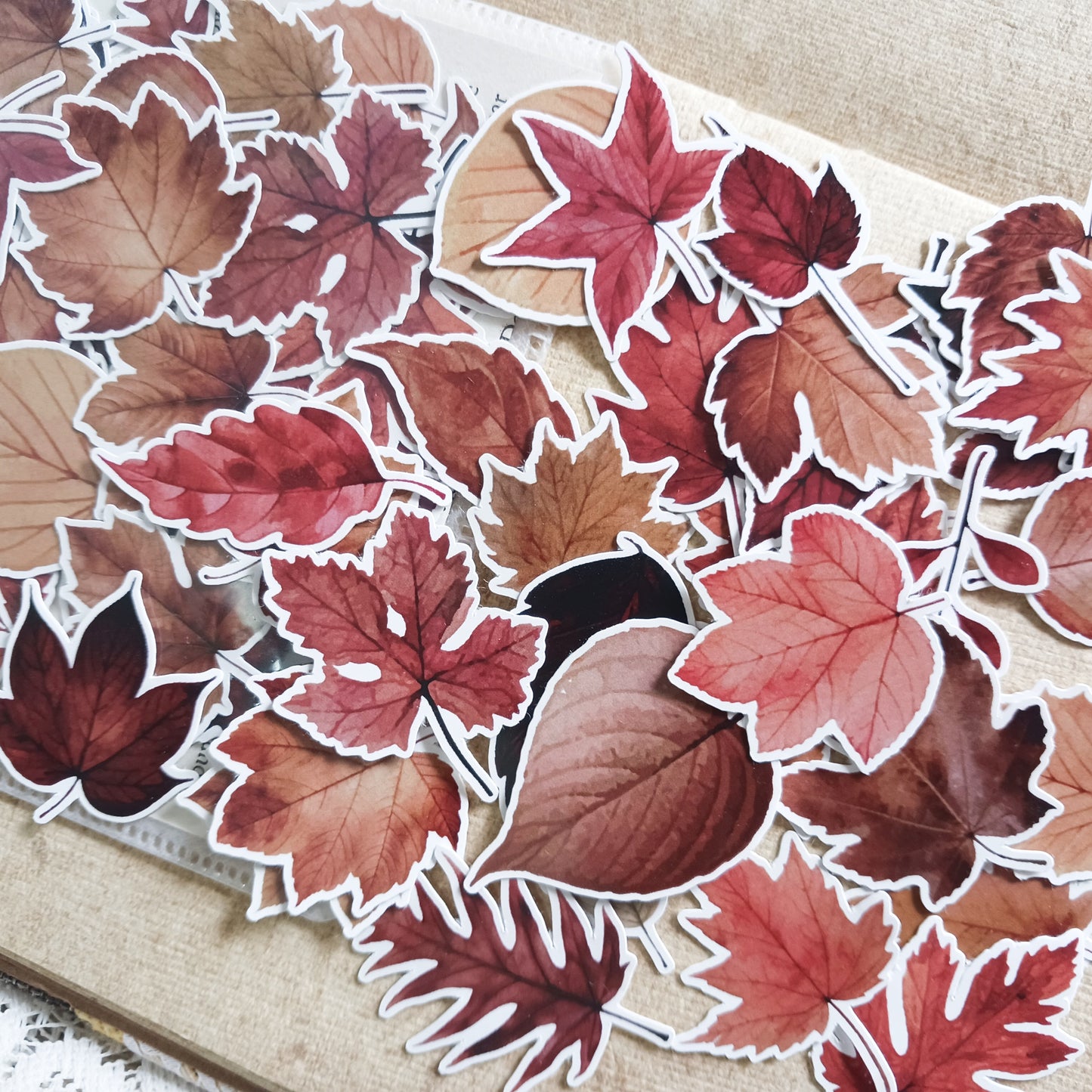 Sticker Pack -  Autumn Leaves