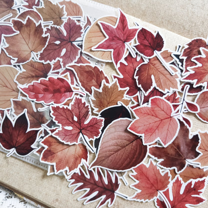 Sticker Pack -  Autumn Leaves